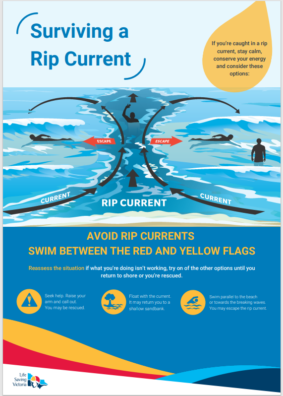 Surviving Rip Currents Surviving a Rip Current A1 Poster – Life Saving Victoria
